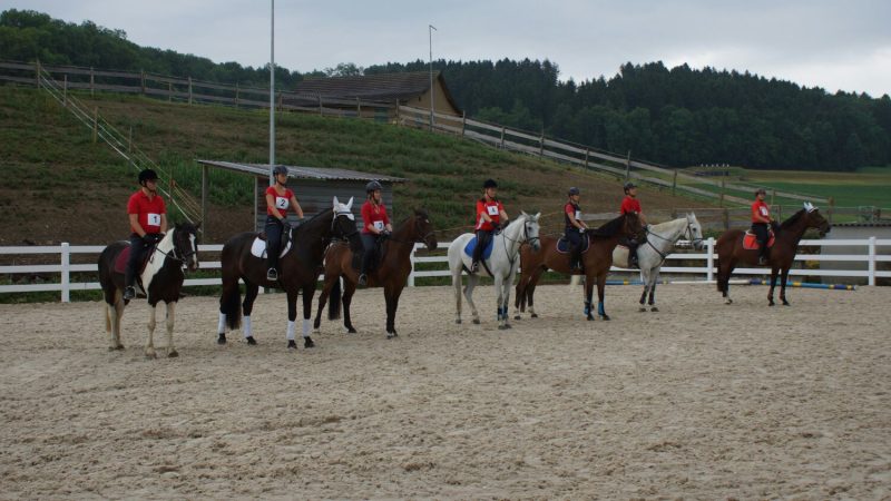 Foto aus dem Reitstall Schrackmann