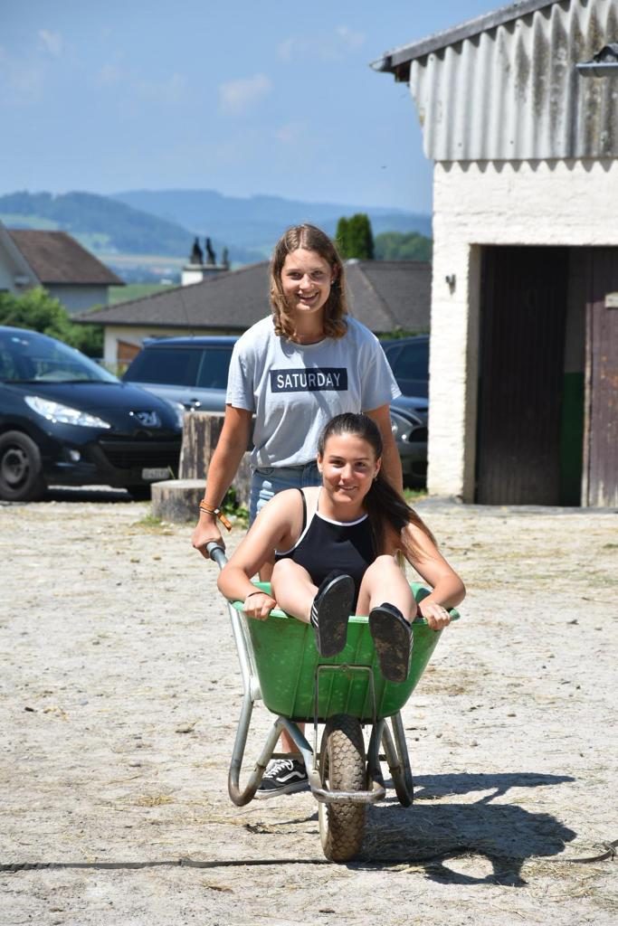 Foto aus dem Reitstall Schrackmann