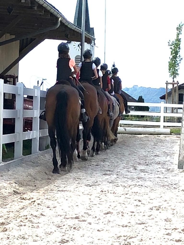 Foto aus dem Reitstall Schrackmann