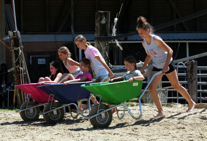 Foto aus dem Reitstall Schrackmann