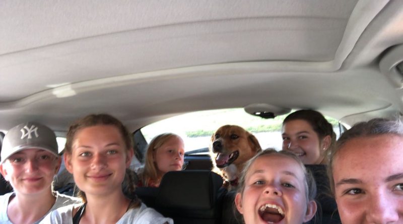 Foto aus dem Reitstall Schrackmann