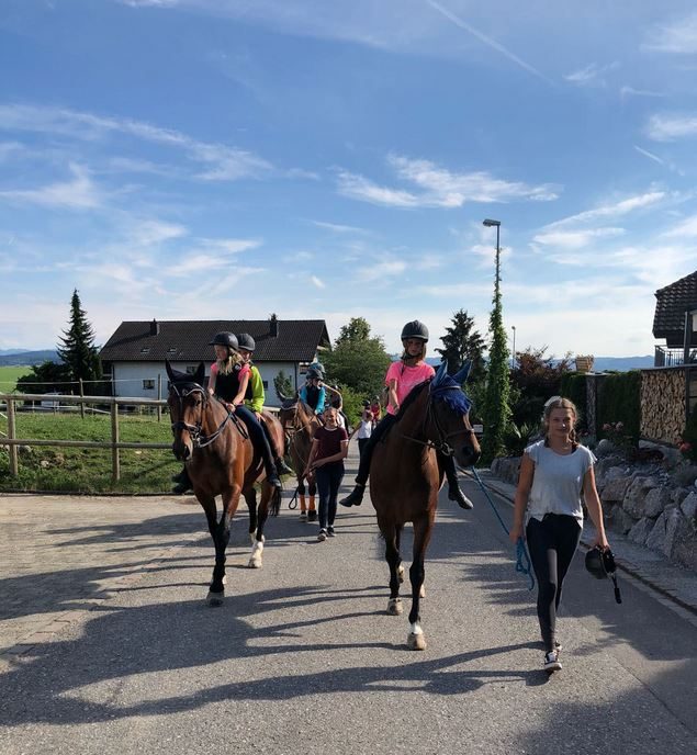Foto aus dem Reitstall Schrackmann